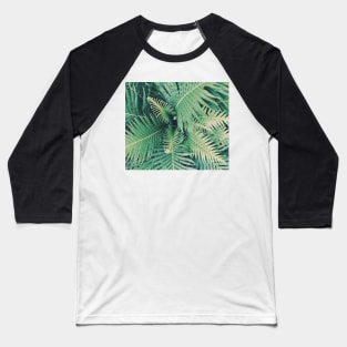 Fern Baseball T-Shirt